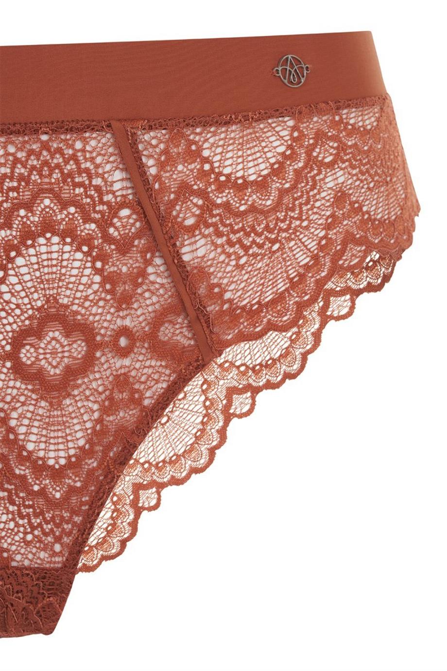 Flame Brief