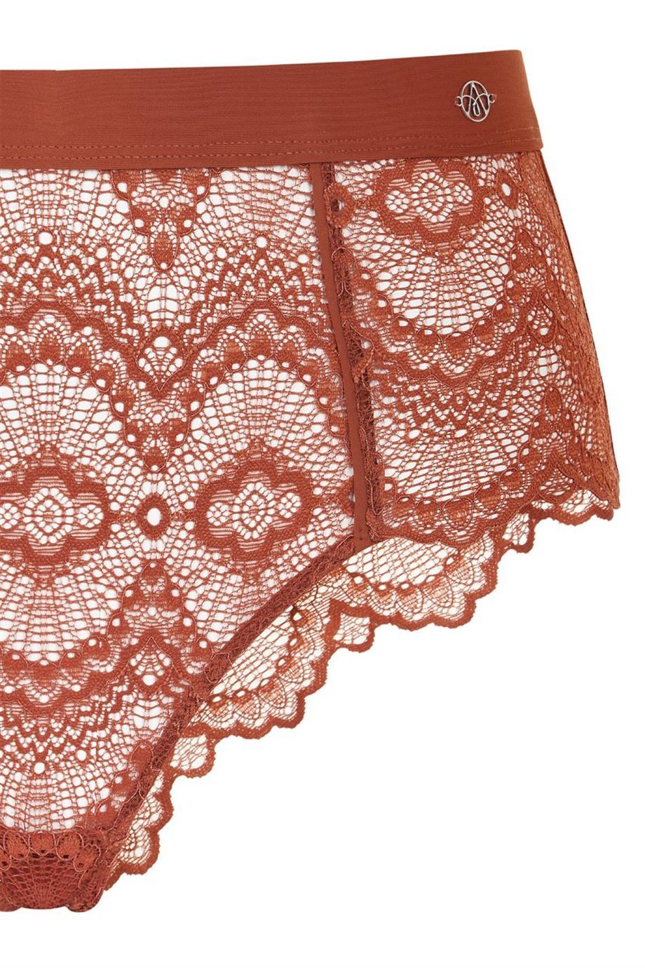Flame High Waist Brief